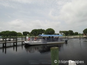 Boat Tours at Flamingo