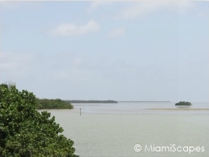 Everglades Coastal Estuary Habitat