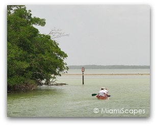 Canoeing at Flamingo