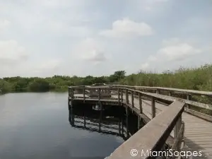 Everglades National Park exhibits