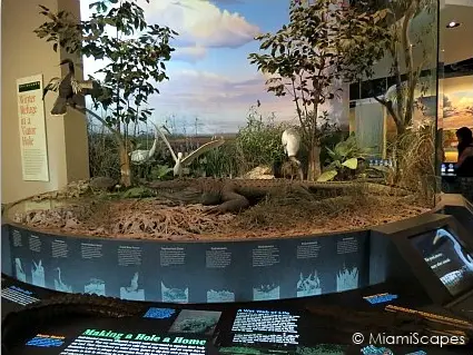 Everglades National Park Headquarters Exhibits