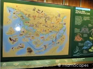 Everglades National Park exhibits