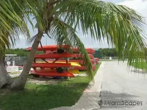 Canoe and Kayak Rentals at Flamingo