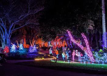 Gardens of Lights at Flamingo Gardens