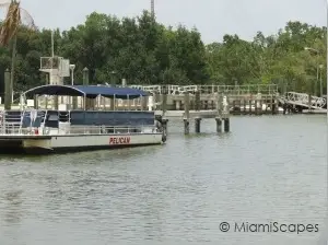 Flamingo Marina