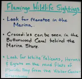 Wildlife Sightings Board at Flamingo