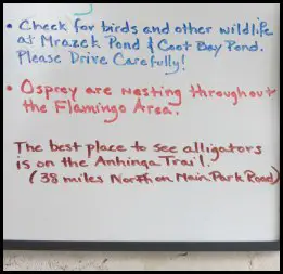 Wildlife Sightings Board at Flamingo