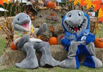 Halloween at the Miami Seaquarium