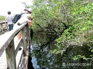 Boardwalk Trails