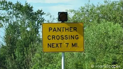 Florida Panther Crossing Sign