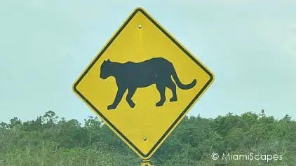 Florida Panther Warning Crossing Sign on Freeway