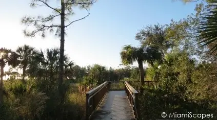 Platform at Florida
 Panther National Wildlife Refuge