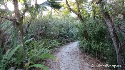 Trails at the Florida Panther National Wildlife Refuge