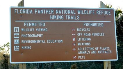 Visiting the 
Florida Panther National Wildlife Refuge