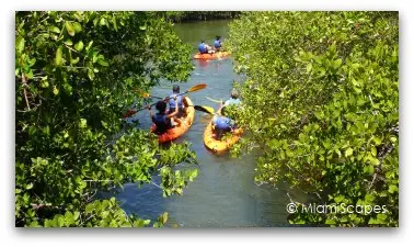 Kayaking in the Oleta River