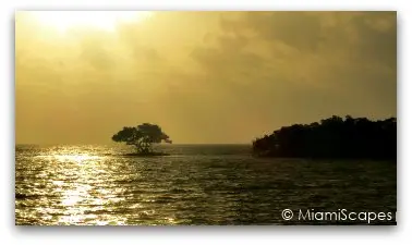 Beautiful Sunset overlooking  the Thousand Islands Wildlife Refuge