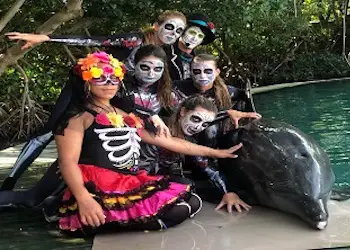Halloween at the Miami Seaquarium 2021