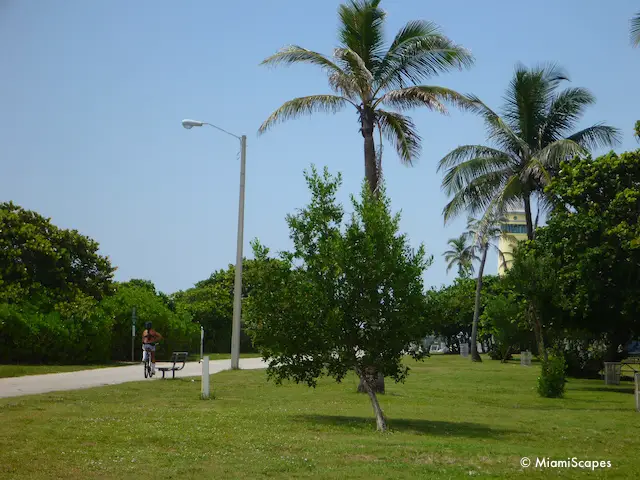 Haulover Beach Biking