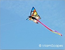 Haulover Kite Festival Miami