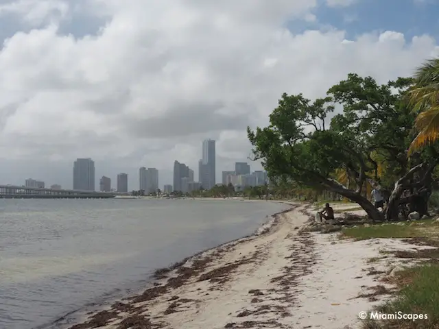 Hobie Beach - Miami Skyline