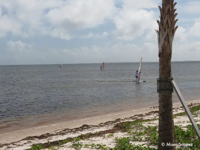 Hobie Beach Windsurfing Rentals