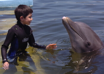 Children enjoying Dolphin Swims