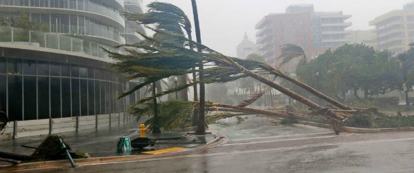 Hurricane Irma aftermath Miami Beach