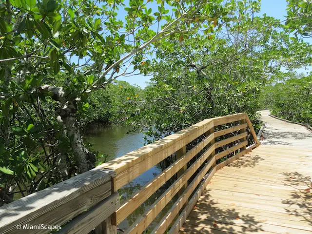 John Pennekamp Mangrove Boardwalk