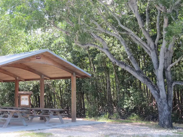 Picnic Tables and Pavillion at Pennekamp Park