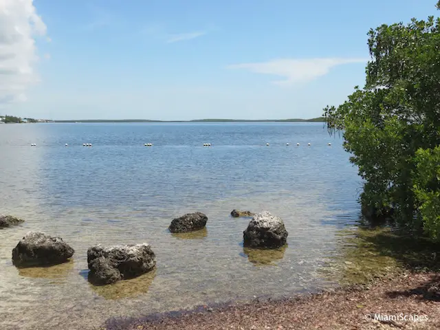 Rocky Beach at Pennekamp Park