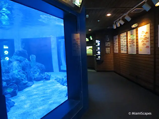 John Pennekamp Park Visitor Center