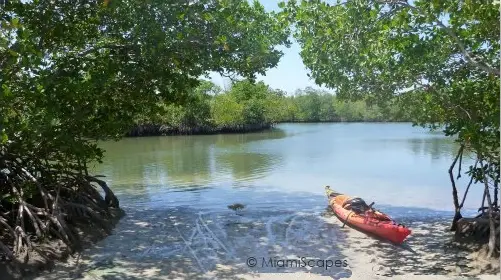 Kayak launch area at Oleta Kayak launch area at Oleta