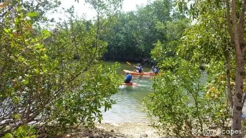 Kayaking at Oleta