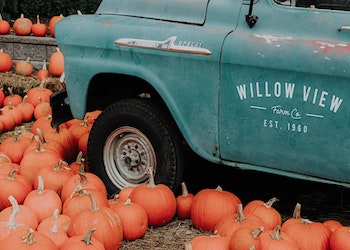 Lincoln Road Pumpkin Patch