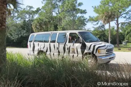 Rental Van Rental for the Safari Drive-Through