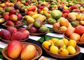 Mango Festival in Miami