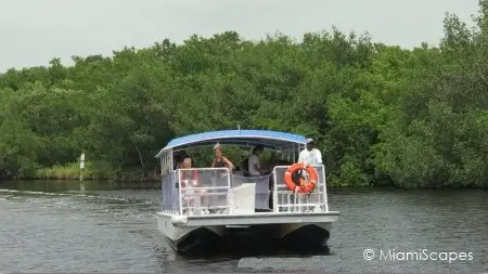 Mangrove Backcountry Boat Tour at Everglades National Park