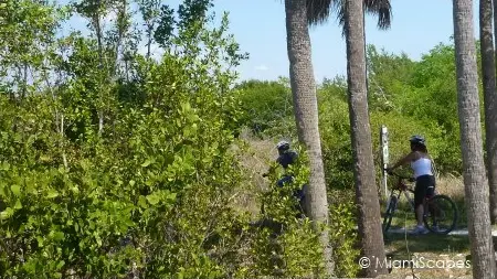 Biking Nature Trails at Oleta River State Park