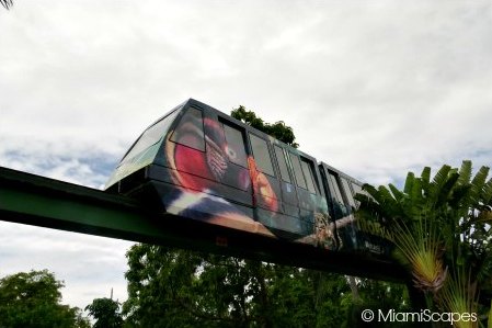 Monorail at Zoo Miami