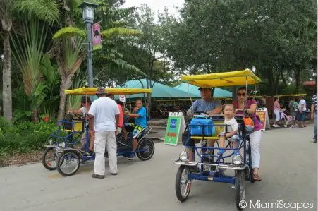 Getting around with Safari cycles  at Zoo Miami