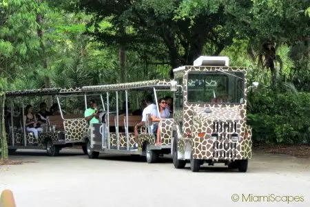 Tram Tours at Zoo Miami