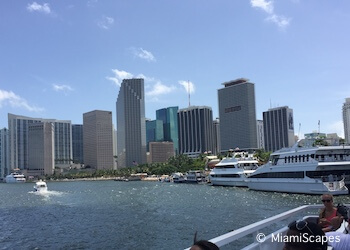 Boat Tour in Biscayne Bay