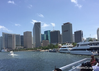 Boat Tour in Biscayne Bay Boat Tour in Biscayne Bay