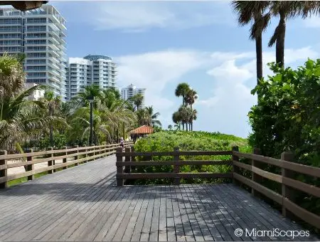 The Miami Beach Boardwalk