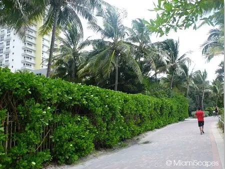 Miami Beach Walk Paver Walkway between 14th and 24th Streets Condos and Hotels