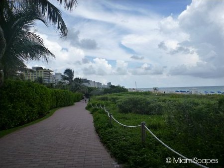 The Paver Walkways running along the shore between 1st and 3rd Streets