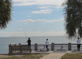 Miami Beaches Fishing