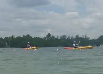 Miami Beaches Kayak