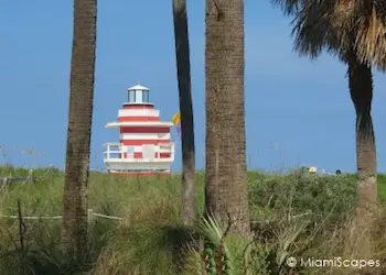 South Pointe Beach