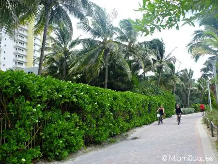 Biking on the Miami Beachwalk